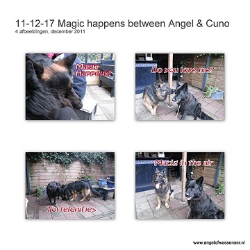 Echte magie tussen Angel & Cuno!